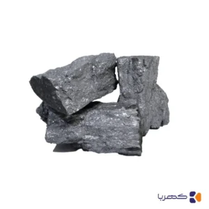 فروباریوم